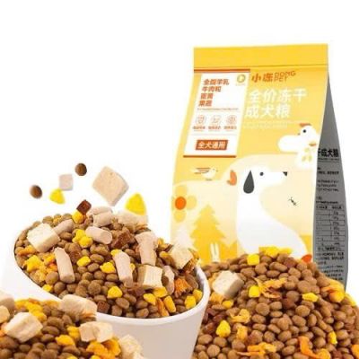 DONG PET