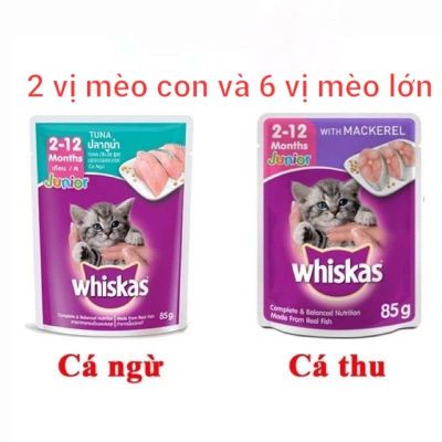  Pate Whiskas