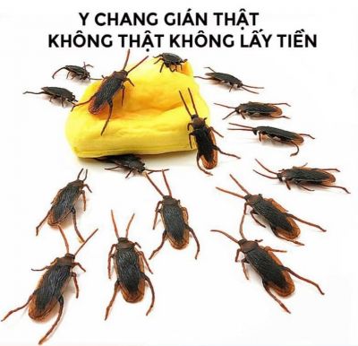 Đồ chơi con gián nhựa